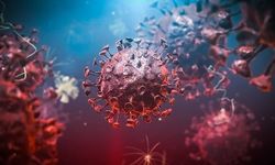 Kongo Demokratik Cumhuriyeti'nde Nadir Bundibugyo Ebola Varyantı Salgını Artıyor