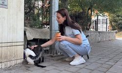 Kütahya'da Beslediği Kedinin Vahşice Öldürülmesi Tepki Çekti