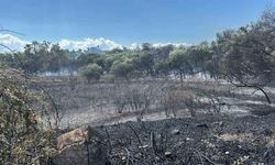 Manavgat Boğaz Mendirek Yolunda Sazlık Yangını Korkuttu