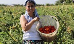 Menemen'de Eczacı Yeliz Dermancı'nın Eczaneden Tarlaya Uzanan Çiftçilik Serüveni