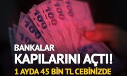 Mevduat Faizlerinde Güncel Durum: 32 Günlük 1,5 Milyon TL Getirisi 45 Bin TL'yi Aştı