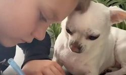 Minik Köpeğin Tebessüm Ettiren Anları Sosyal Medyada İlgi Topladı