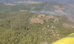 Muğla Menteşe'de Orman Yangını Hızla Kontrol Altına Alındı