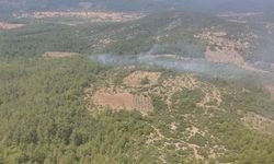 Muğla Menteşe'deki Orman Yangını Hızla Kontrol Altına Alındı
