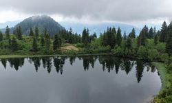 Murgul Karagöl: Artvin'in Saklı Doğal Güzelliği Turizme Kazandırılmayı Bekliyor