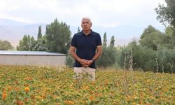 Mustafa Nezihi Kolukısa'nın Aspir Üretiminde 35 Yıllık Memurluk Tecrübesiyle Başarı Hikayesi