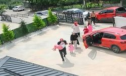 Ordu'da Köpeğe Çarpan Sürücü Kaçtı, 10 Yaşındaki Kız Baygınlık Geçirdi