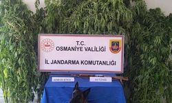 Osmaniye Jandarması Bir Haftada 128 Şüpheliyi Gözaltına Aldı