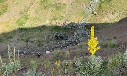 Palandöken Geçidi'nde 150 Metrelik Uçuruma Yuvarlanan Araç Kazası