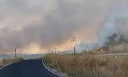 Polatlı'da Çakmakla Kuru Ot Yangını Çıkaran Şüpheli Tutuklandı