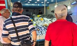 Samsun'da Palamut Bolluğu Başladı, Fiyatlar Düşebilir