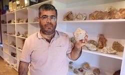 Sedat Çam'ın Doğal Taş Koleksiyonu 50 Bin TL'ye Alıcı Buluyor