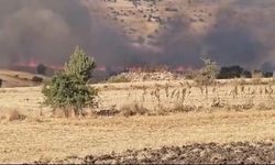 Seyitgazi'de Tarım Arazisinde Çıkan Yangın Kontrol Altına Alındı