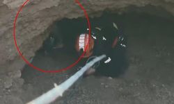 Siirt'te Obrukta Mahsur Kalan Keçi AFAD Ekiplerince Kurtarıldı