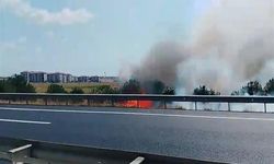 Silivri'de tarlada çıkan yangın TEM Otoyolu trafiğini durdurdu