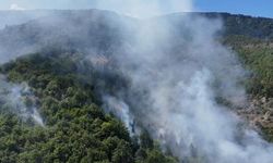 Sinop'ta Orman Yangınına Müdahale Devam Ediyor