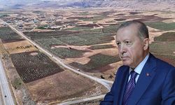 Sivas'ta Cumhurbaşkanı Erdoğan'ın Çağrısıyla Ayçiçeği Üretimi Yüzde 109 Arttı
