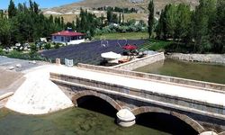 Sivas'ta Emekli Memurun Lavanta Bahçesi İlgi Odağı Oldu