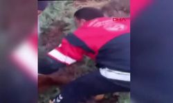 Sulama Kanalına Düşen İneklerin Kurtarılması Kameralara Yansıdı