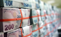 Tarım ve Orman Bakanlığı'ndan 106 Milyar Liralık Destek Ödemesi