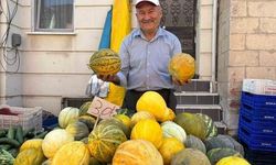Tavşanlı'nın meşhur Kışlademirli kavunu pazara indi
