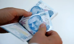 Temmuzda İstanbul'da Fiyatı En Çok Artan Ürün Sivri Biber Oldu