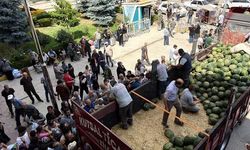 Tokat'ta 20 Ton Karpuz Bedava Dağıtıldı