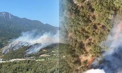 Uludağ'ın etekleri yanıyor! 3 farklı noktada yangın