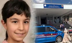Van'da 14 Yaşındaki Damlanur Sarihan'ın Ölümü: İntihar Değil Cinayet İddiası Üzerine 7 Kişi Gözaltında