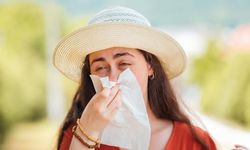 Yaz Aylarında Klima Kullanımı Viral Enfeksiyon Riskini Artırıyor