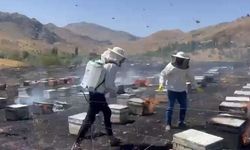 Adıyaman Gerger'de Otluk Alan Yangını 200 Arı Kovanını Tahrip Etti