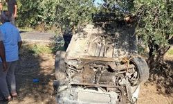 Altınözü'nde otomobil zeytinlik alana devrildi: 1 kişi yaralandı