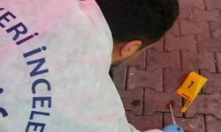 Ankara Çubuk'ta Park Halindeki Otomobilde İki Kişi Ölü Bulundu