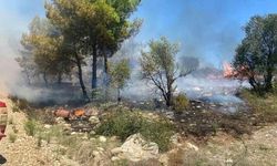Antalya Serik'te Zirai Alanda Çıkan Yangın Hızla Kontrol Altına Alındı