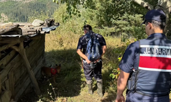 Artvin'de Nigar Bilgin cinayeti çözüldü, zanlılar yakalandı