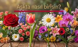Aşkta Kişiliğinizi Yansıtan 4 Çiçekten Birini Seçin