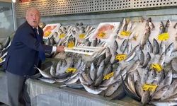 Balık fiyatları 3 yıldır sabit kalırken tezgahlarda bolluk yaşanıyor