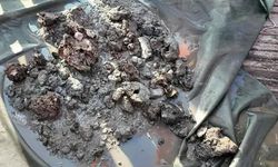 Batı Pasifik'te Ton Başına 15,4 Gram Altın İçeren Mineral Yatağı Keşfedildi