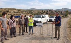 Bergama'da Mavi Dil Hastalığı Nedeniyle 15 Mahallede 40 Günlük Karantina Başladı