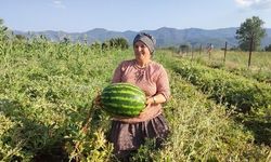 Beyağaç'ta Ata Tohumundan Yetiştirilen Pijamalı Karpuzdan 10 Ton Hasat