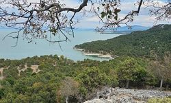 Beyşehir Gölü'ndeki Hacıakif Adası doğa tutkunlarının ilgisini çekiyor