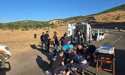 Bingöl'de Kamyonetin Şarampole Yuvarlanması Sonucu 3 Kişi Yaralandı