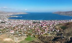 Bitlis'te Beyaz Öncü Kelebeği İlk Kez Görüldü
