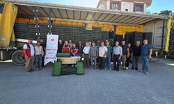 Burhaniye'de Çiftçilere 300 Bin 300 Marul Fidesi Dağıtıldı