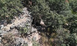 Çanakkale'deki İnkaya Mağarası'nda 86 Bin Yıllık Yaşam İzleri ve e-DNA Araştırması