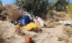 Çeşme Altınkum'da Koruma Altındaki Kum Zambakları Çöpler Arasında Kaldı