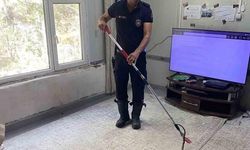 Defne'de eve giren yılan itfaiye tarafından yakalandı