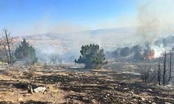 Dinar'da Orman Yangını Hızlı Müdahale ile Söndürüldü