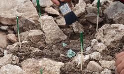 Diyarbakır Çayönü'nde 9 Bin Yıllık Neolitik Üretim Atölyesi Bulundu