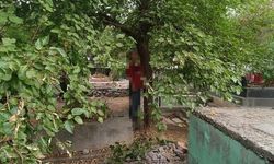 Diyarbakır'da Mezarlıkta Ağaca Asılı Bir Kişi Ölü Bulundu